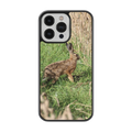 Coque lièvre