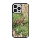 Coque lièvre