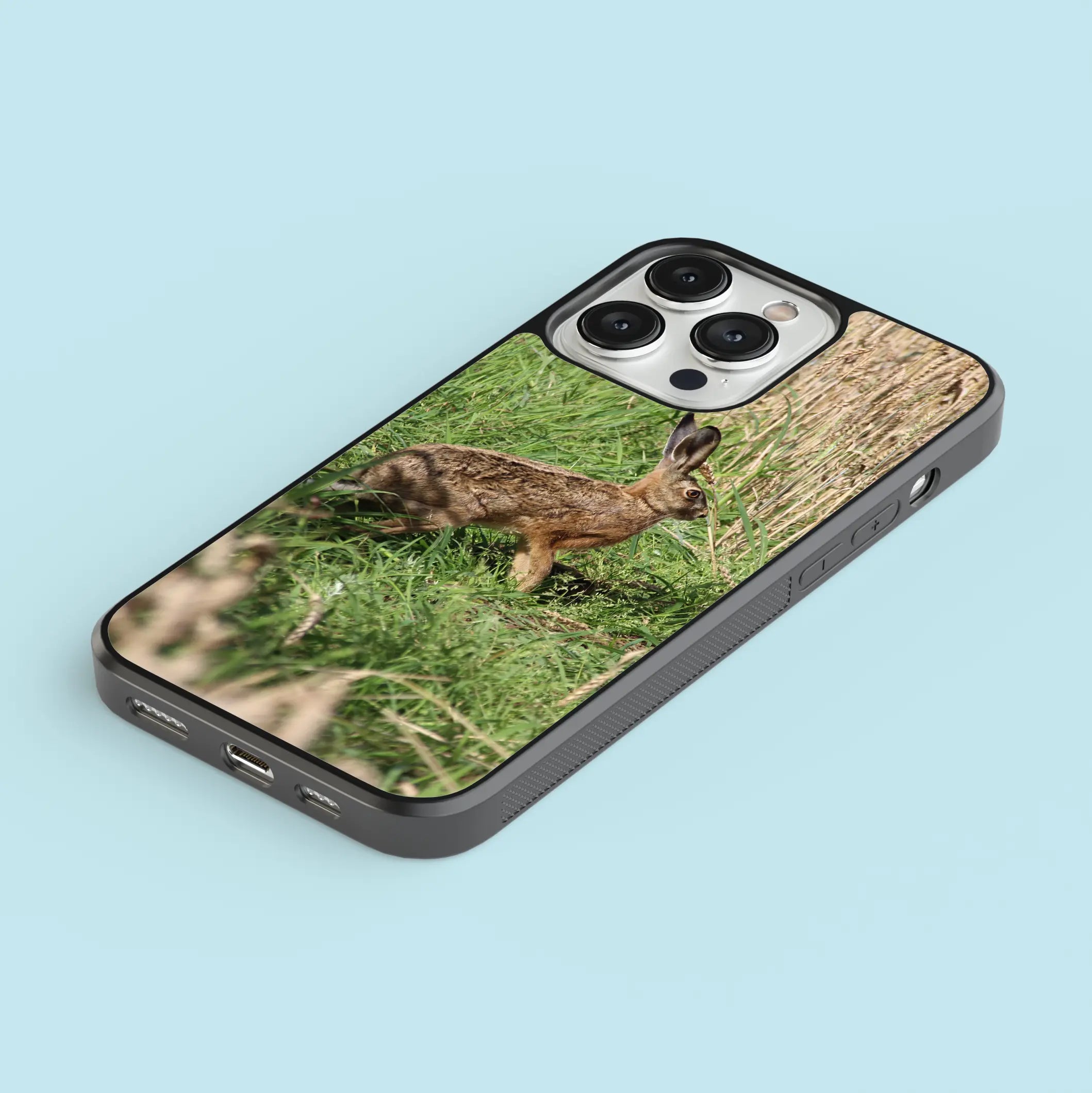 Coque lièvre