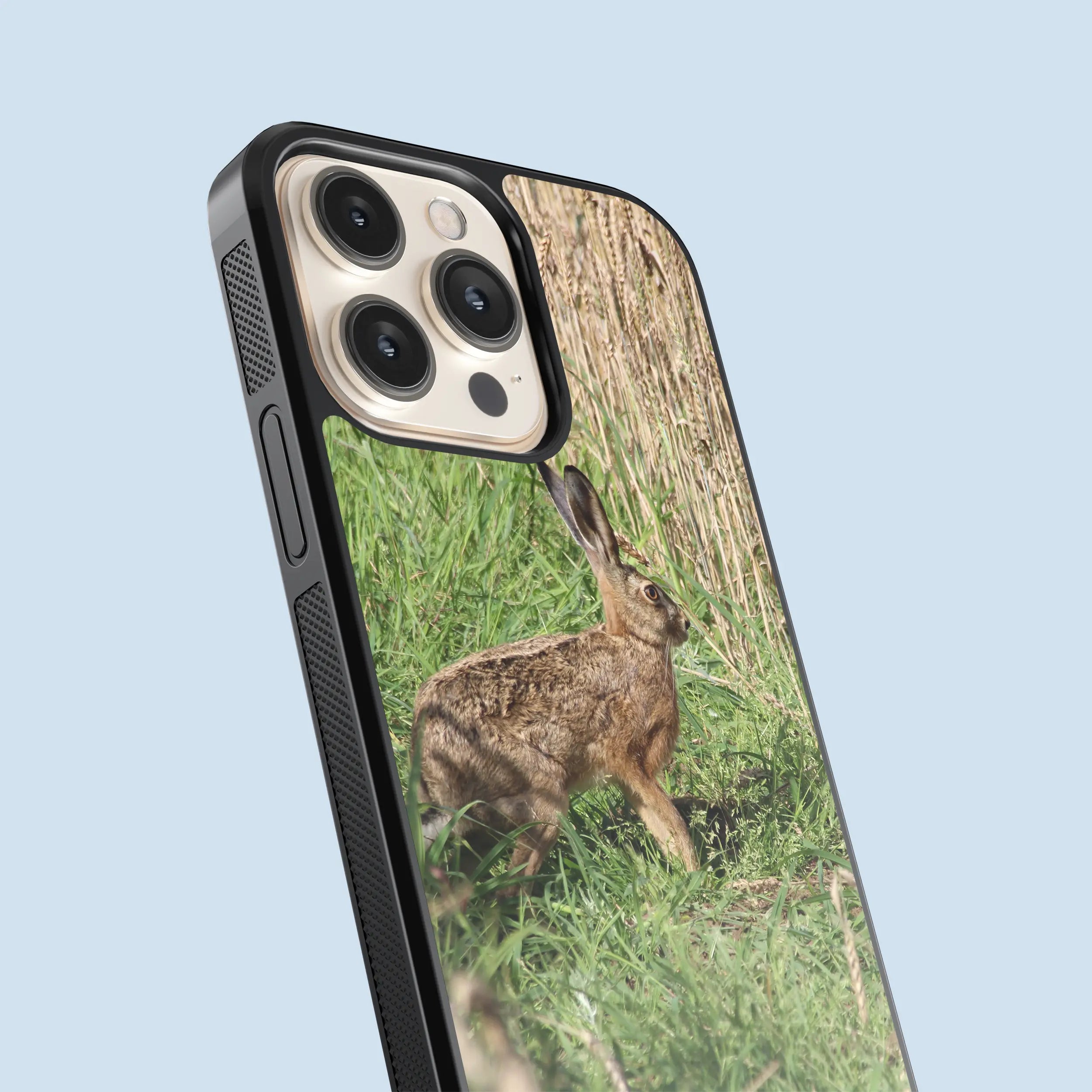 Coque lièvre