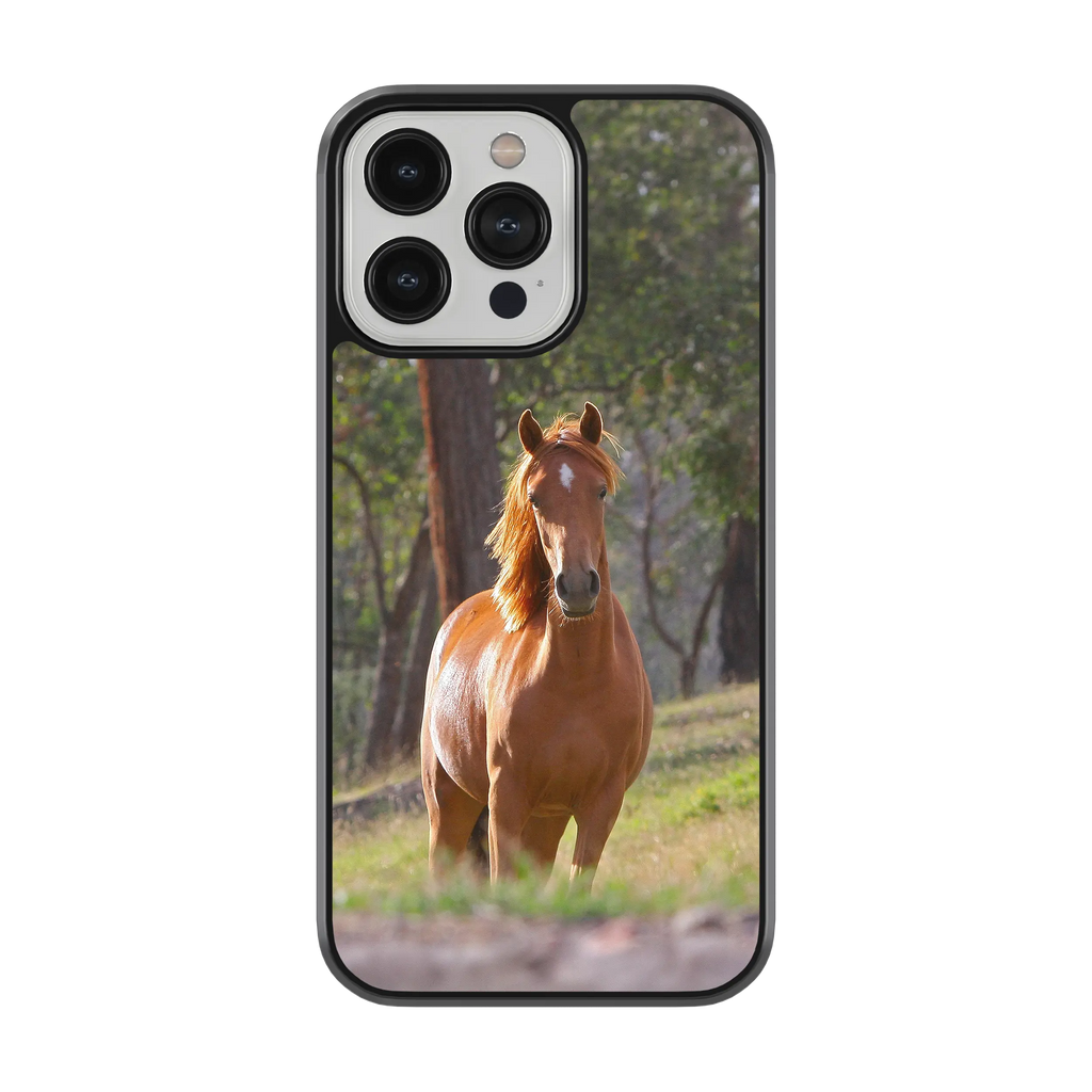Coque - Cheval