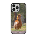 Coque - Cheval