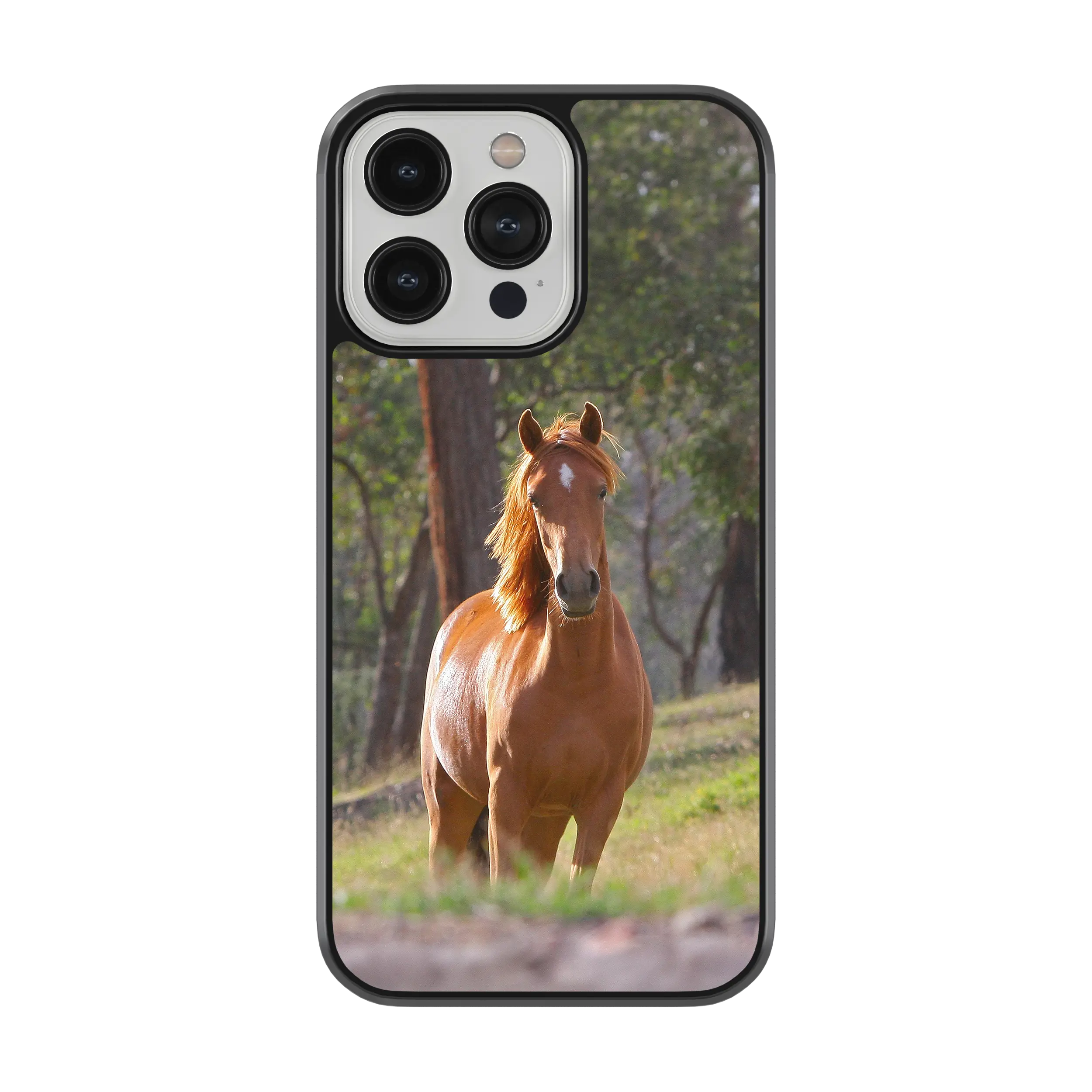 Coque - Cheval