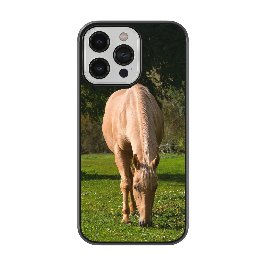 Coque - Cheval