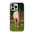 Coque - Cheval