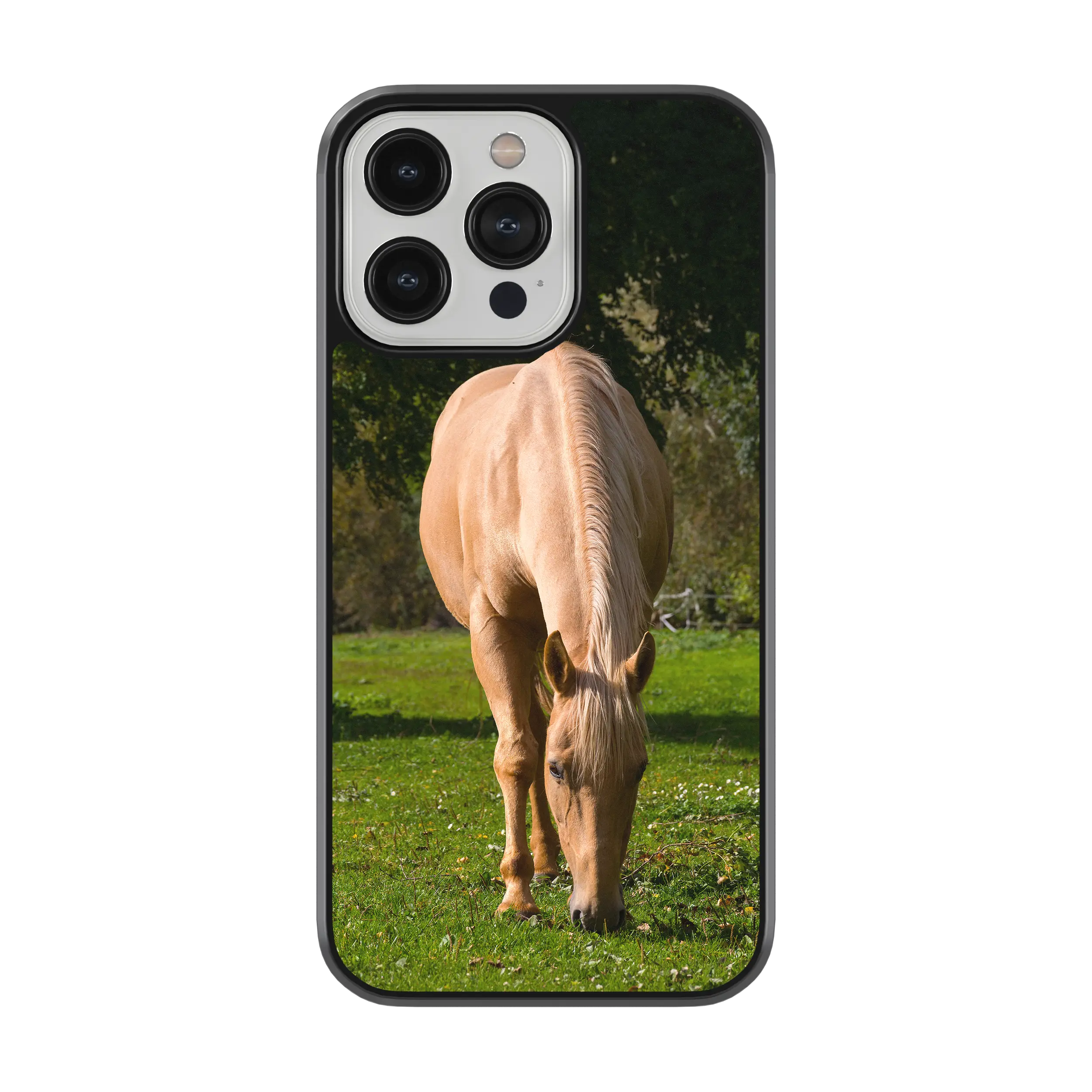 Coque - Cheval