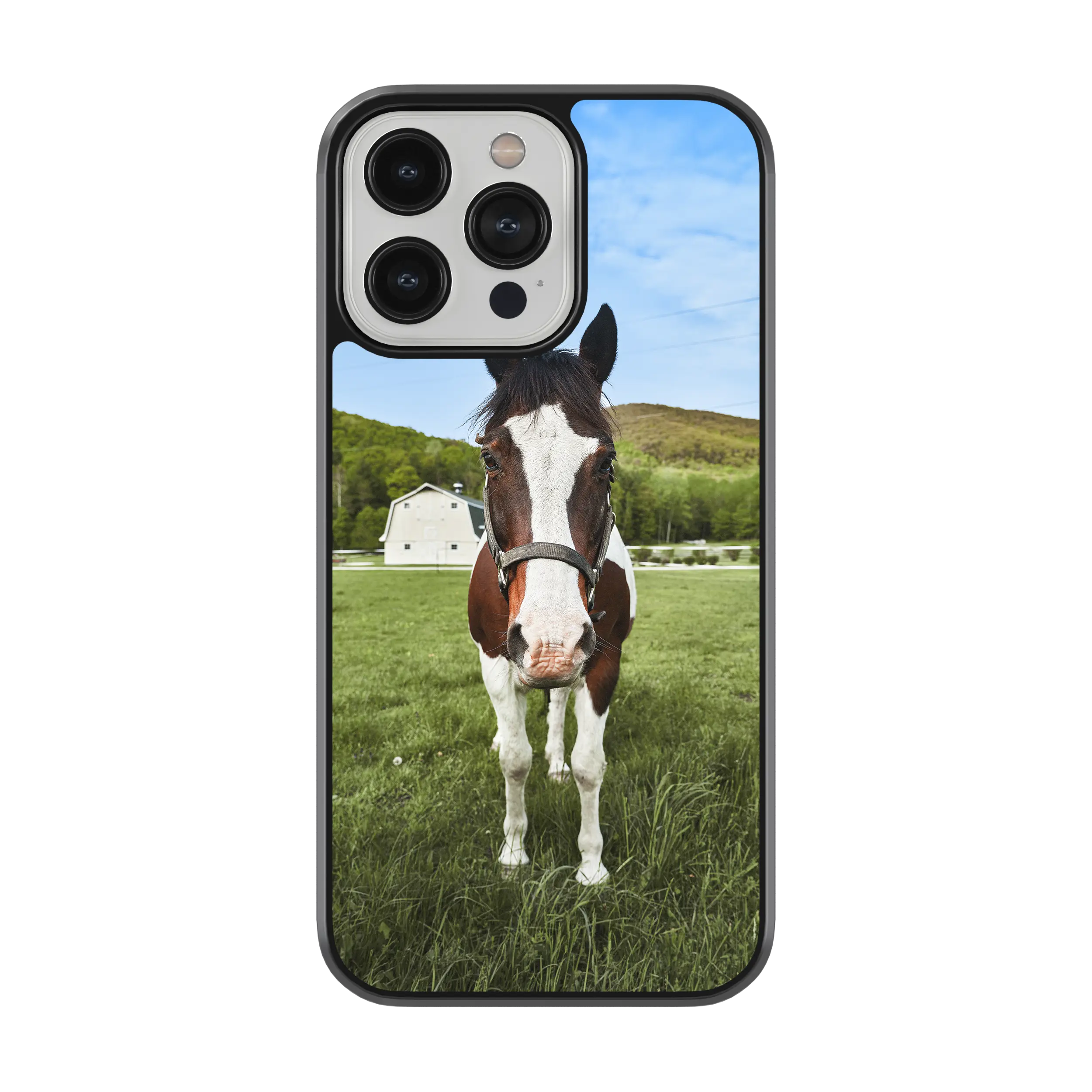 Coque - Cheval