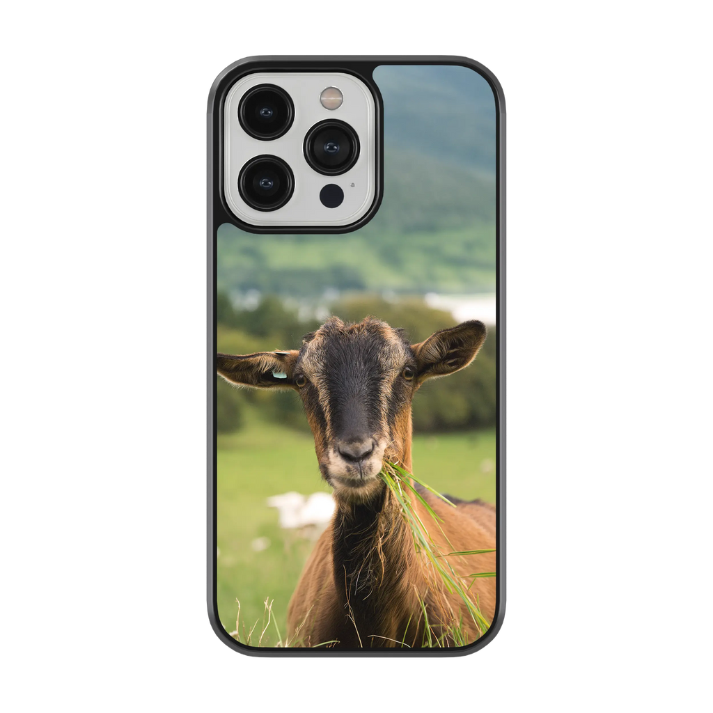 Coque - Chèvre