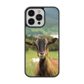 Coque - Chèvre