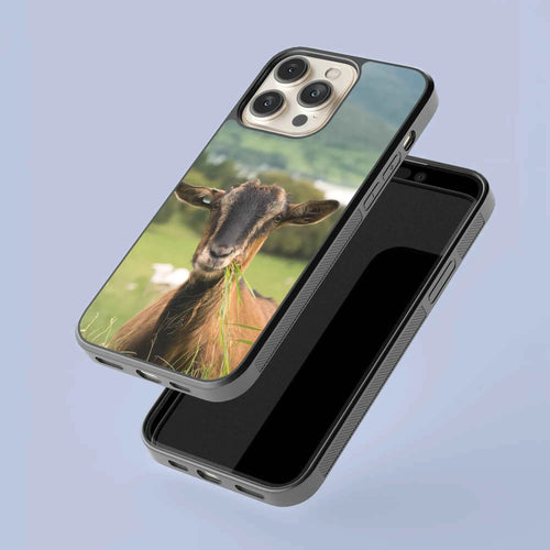 Coque - Chèvre
