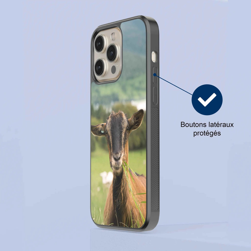 Coque - Chèvre