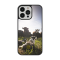 Coque - Chiens & Vaches