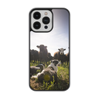 Coque - Chiens & Vaches