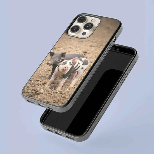 Coque - Porcelets
