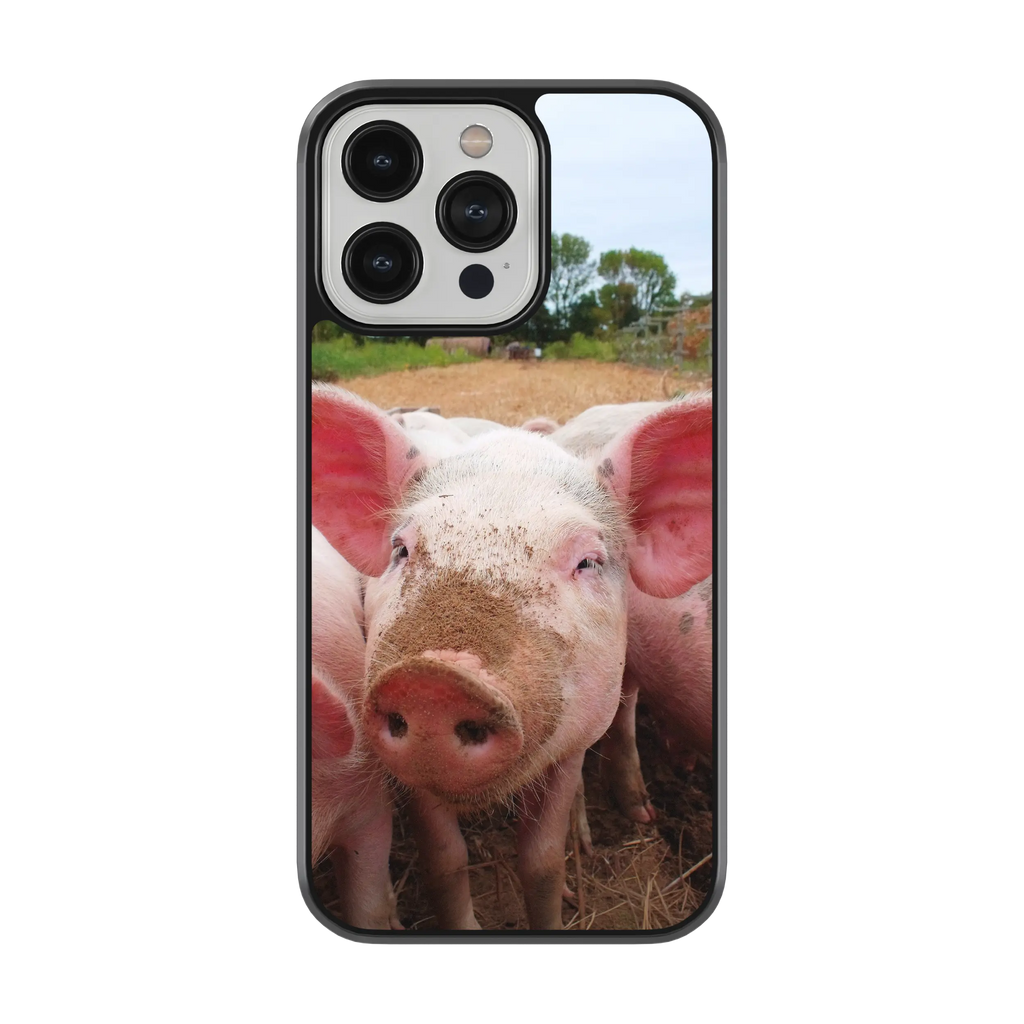 Coque - Cochon
