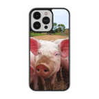 Coque - Cochon