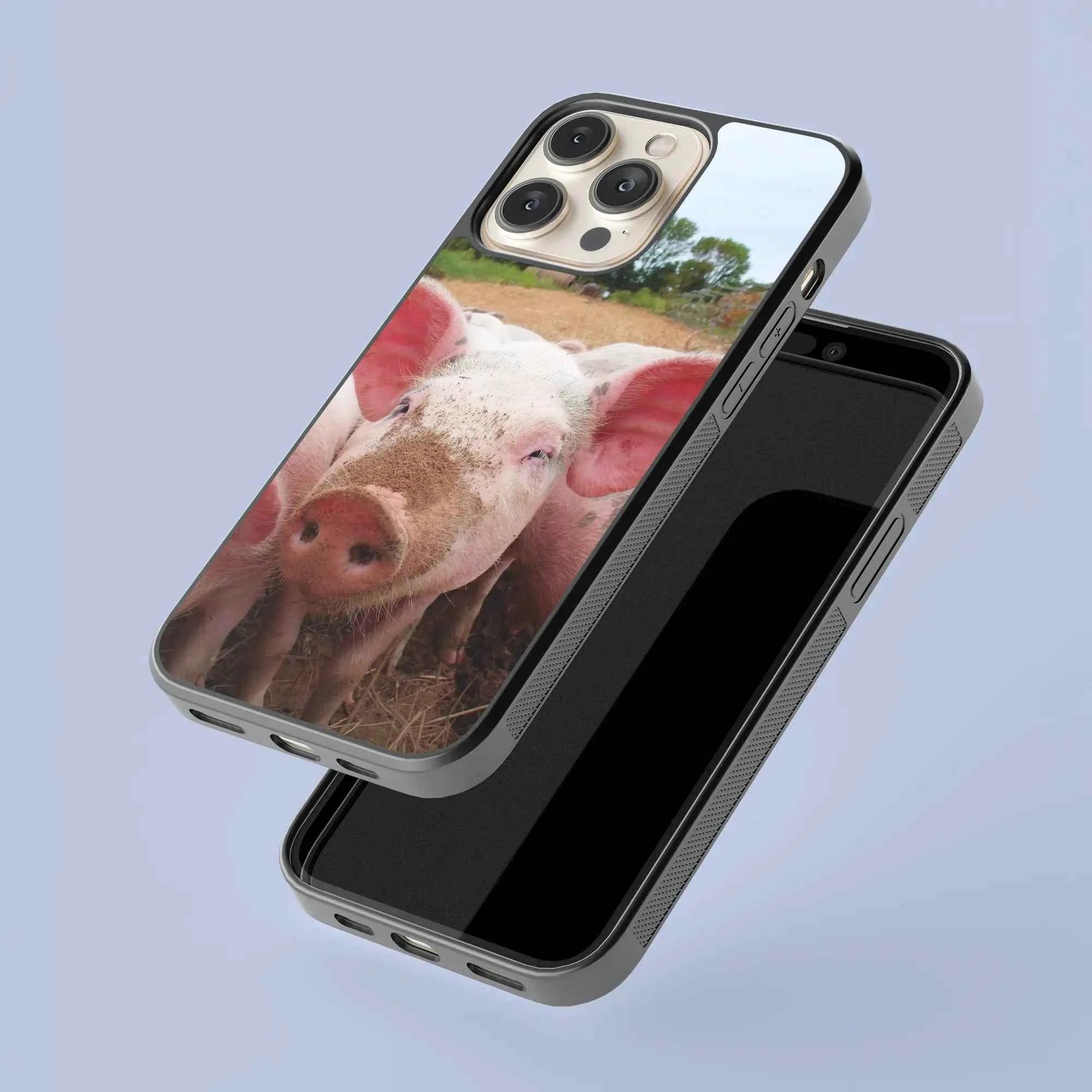 Coque - Cochon