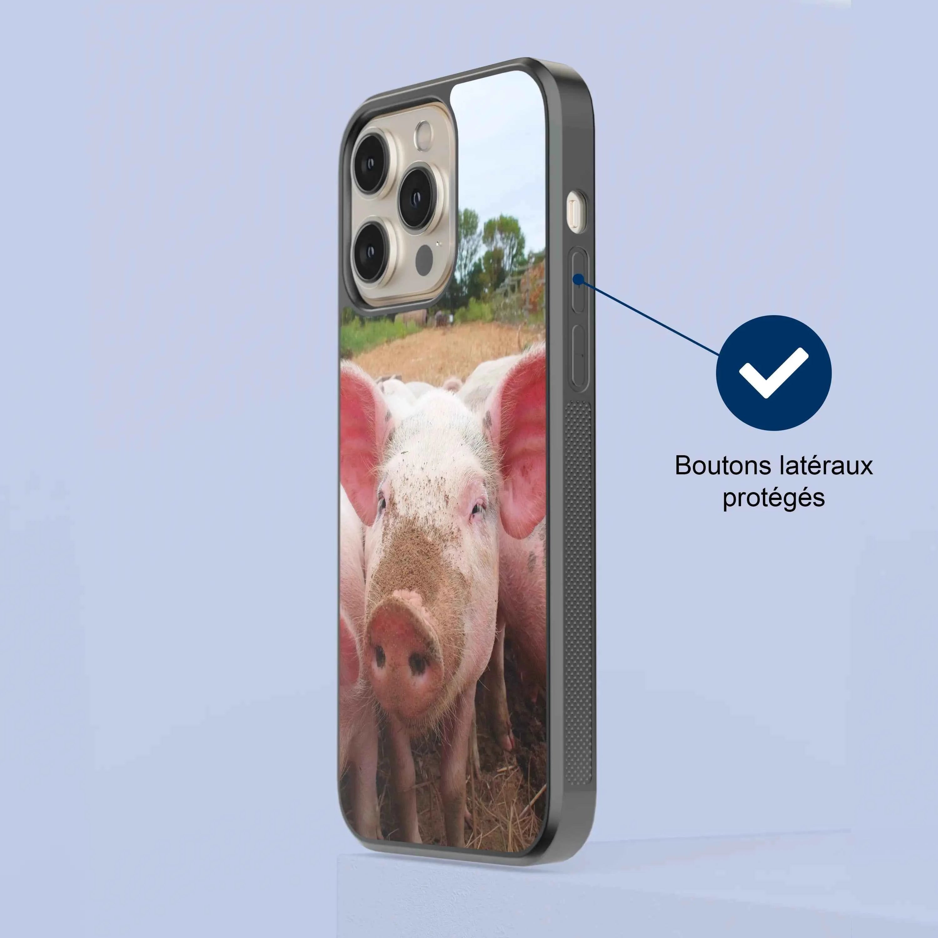 Coque - Cochon