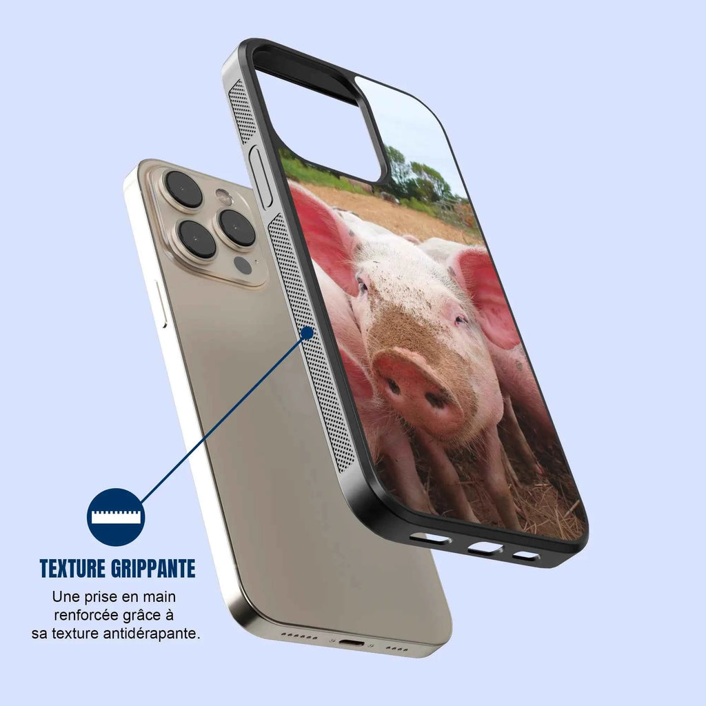 Coque - Cochon