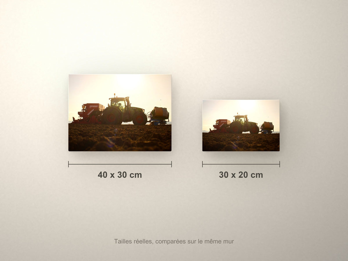 Poster métallique moisson à contre-jour — formats 40x30 et 30x20 cm comparés