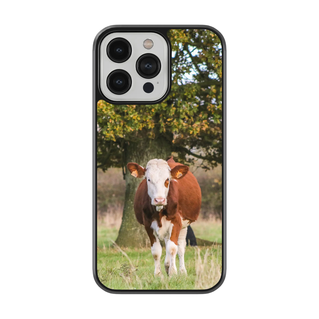 Coque Vache Laitière