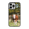 Coque Vache Laitière