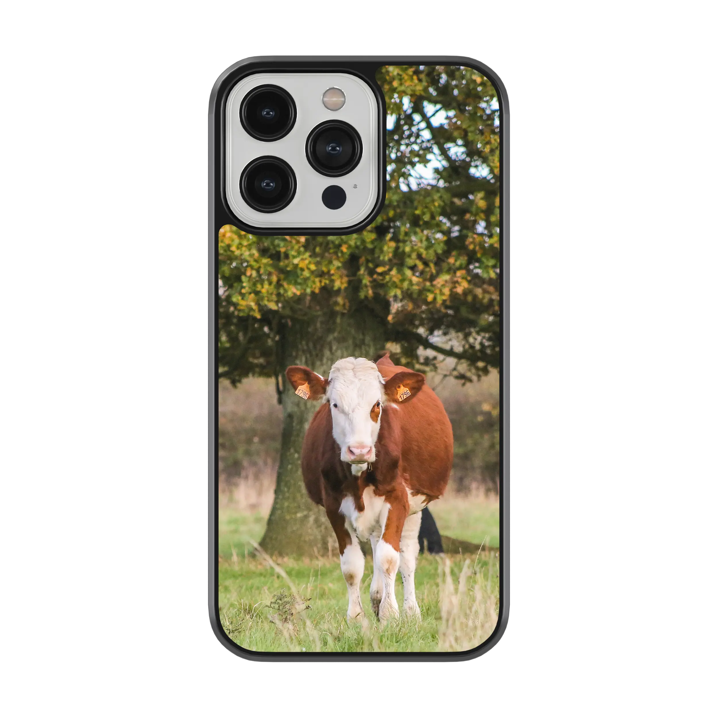 Coque Vache Laitière