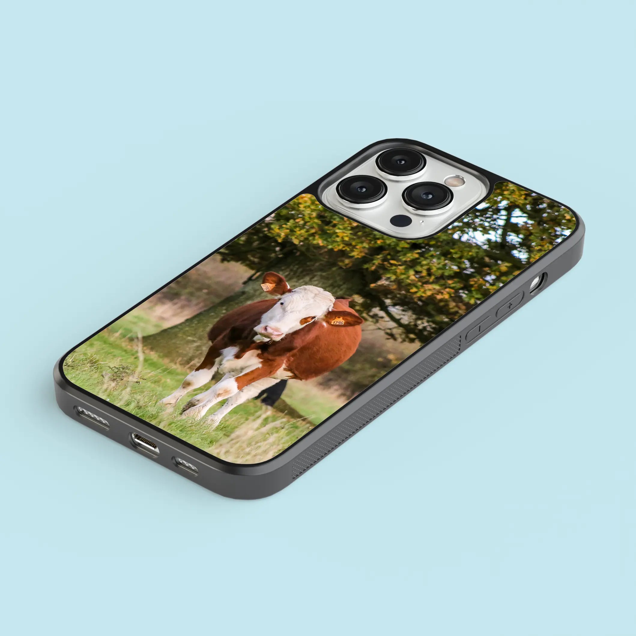 Coque Vache Laitière