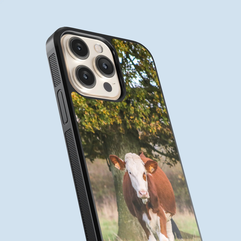 Coque Vache Laitière