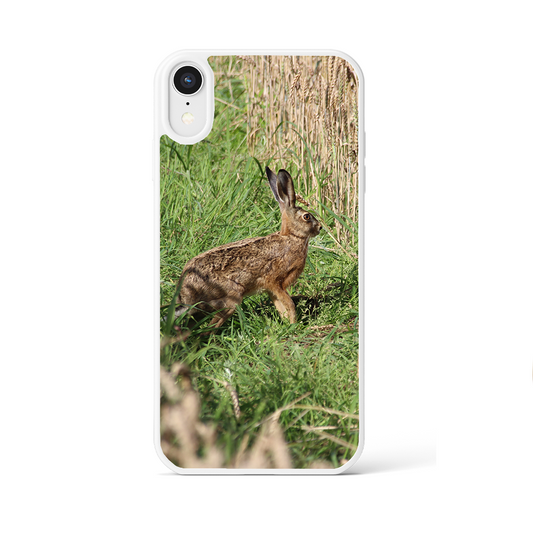 Standing hare shell