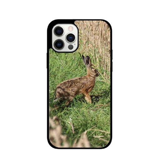 Coque lièvre