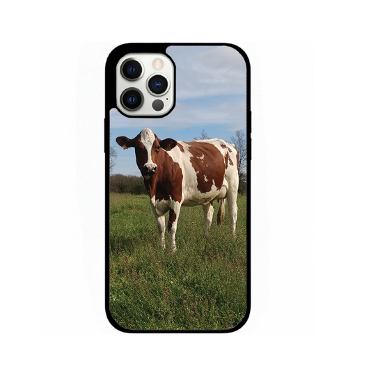 Cow Shell
