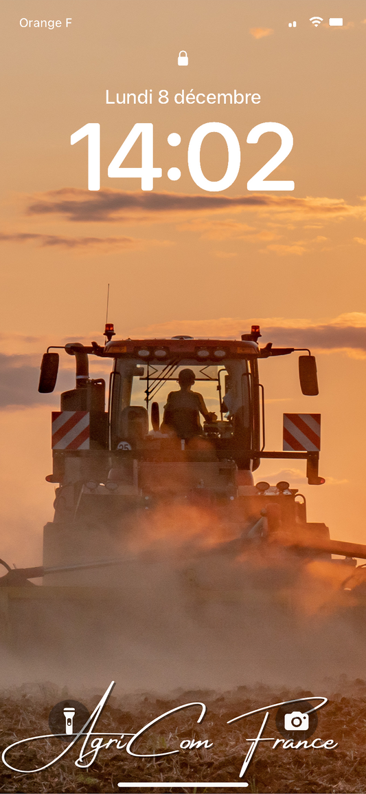 Fond D'écran ~ AGF Couché de Soleil