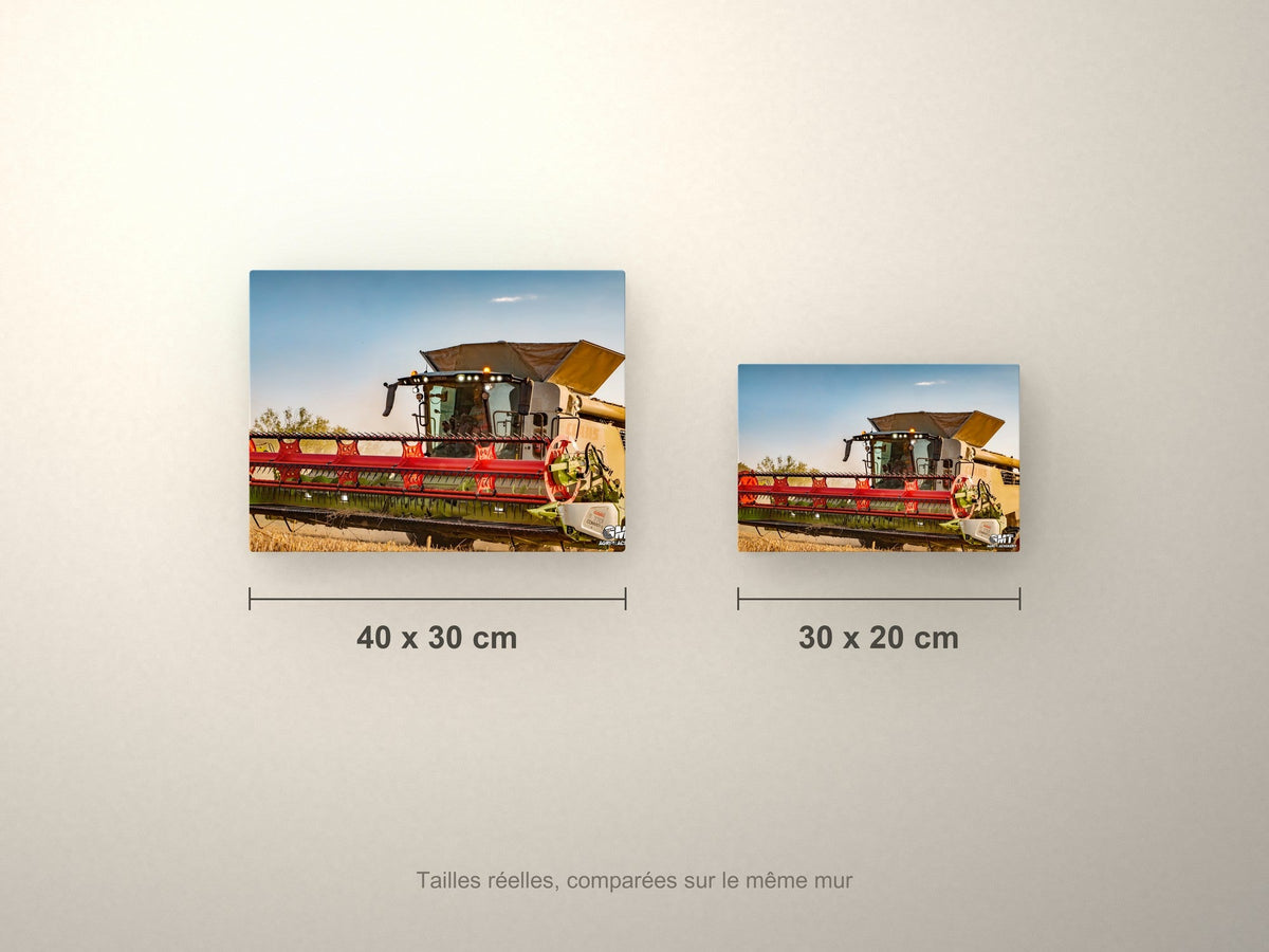 Poster métallique GMT Agri Machinery — formats comparés en centimètres