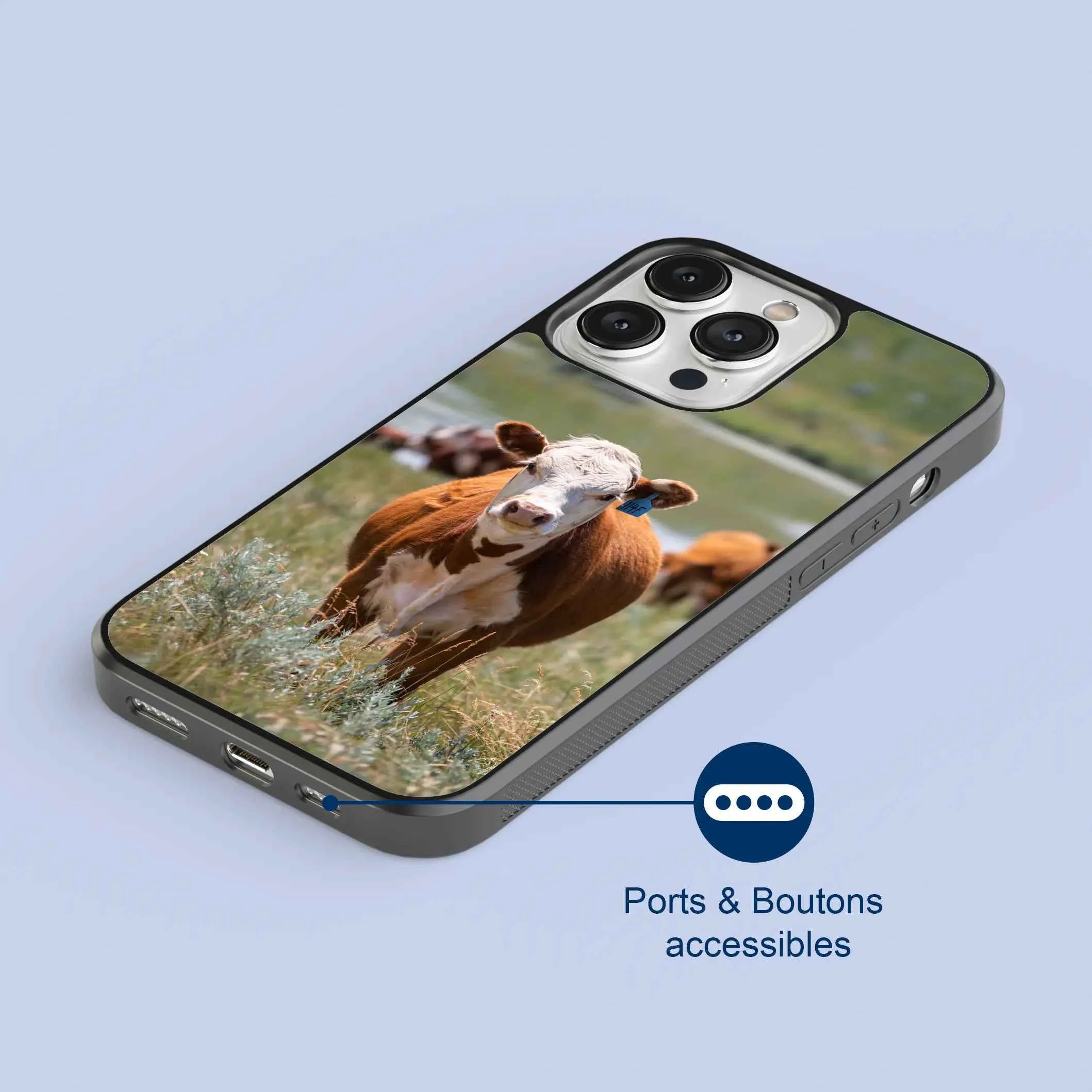 Coque - Hereford