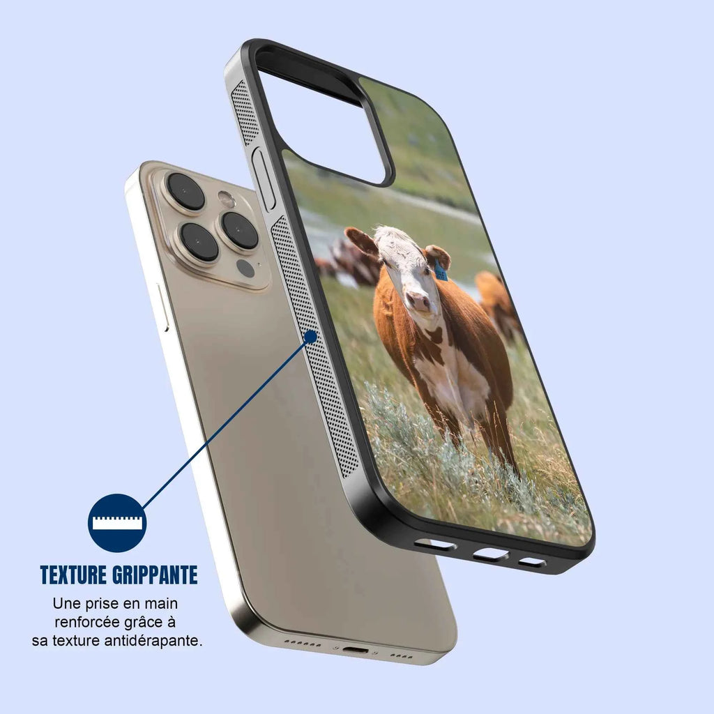 Coque - Hereford