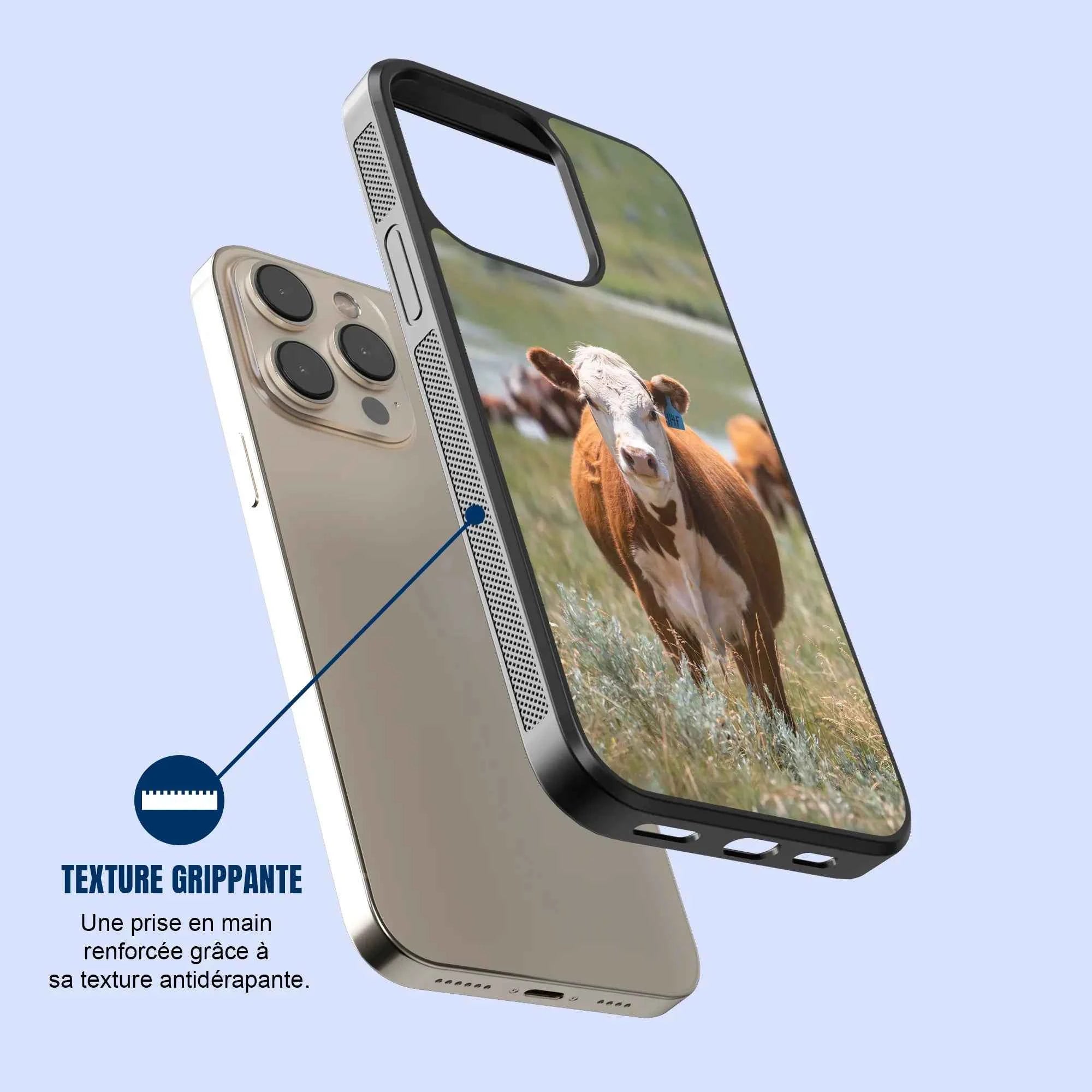 Coque - Hereford