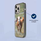 Coque - Hereford