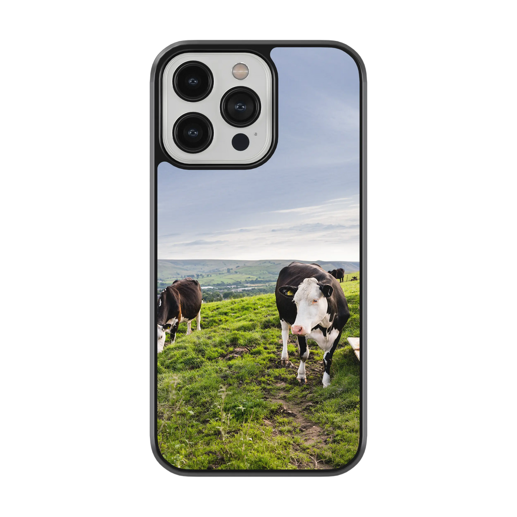Coque - vaches Prim Holstein