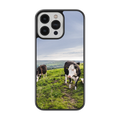 Coque - vaches Prim Holstein