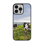 Coque - vaches Prim Holstein