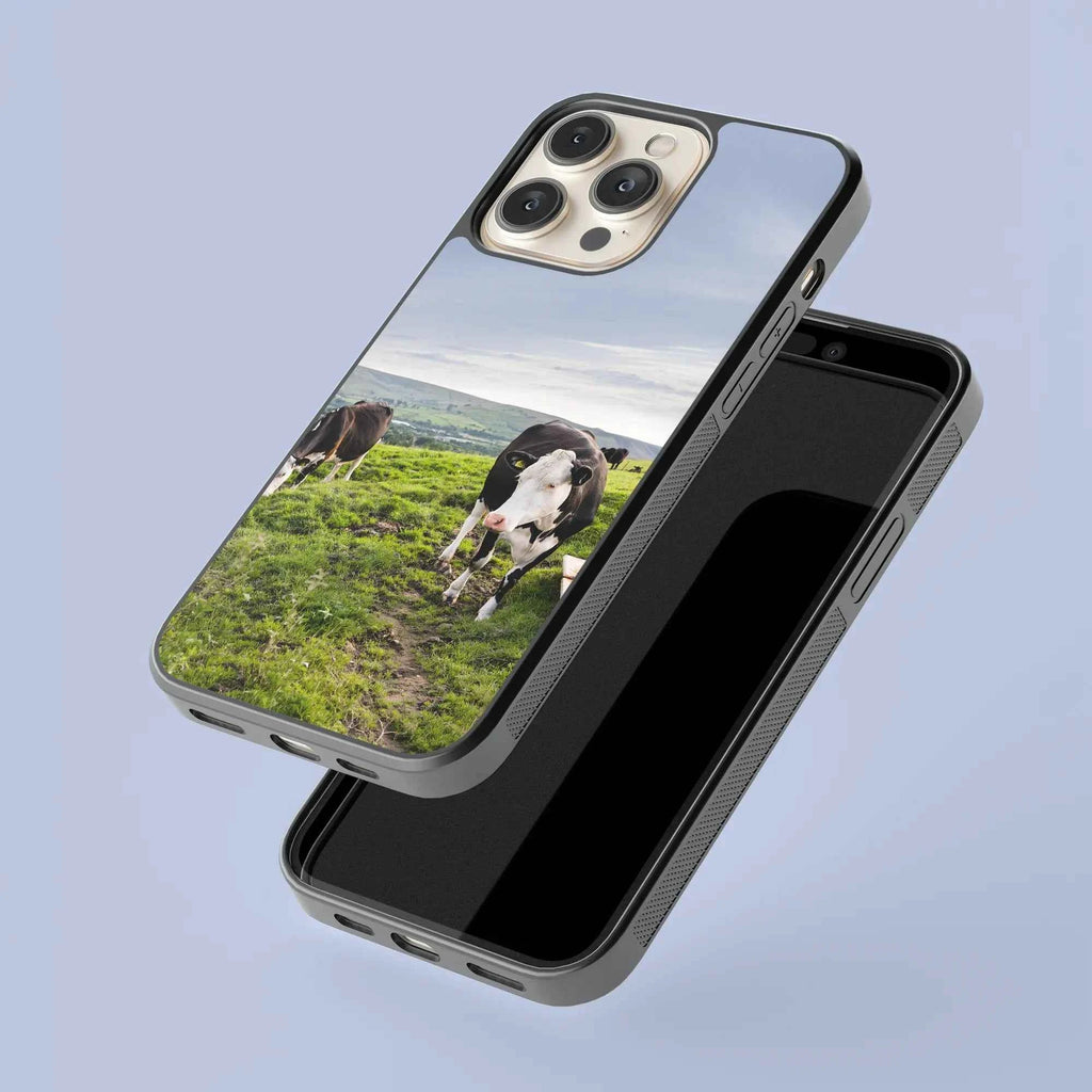 Coque - vaches Prim Holstein