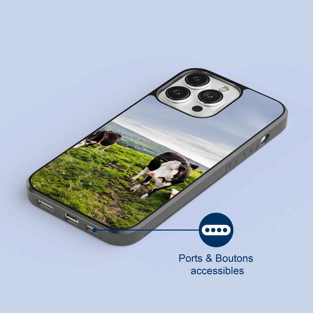 Coque - vaches Prim Holstein