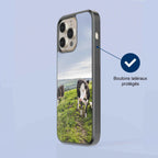 Coque - vaches Prim Holstein