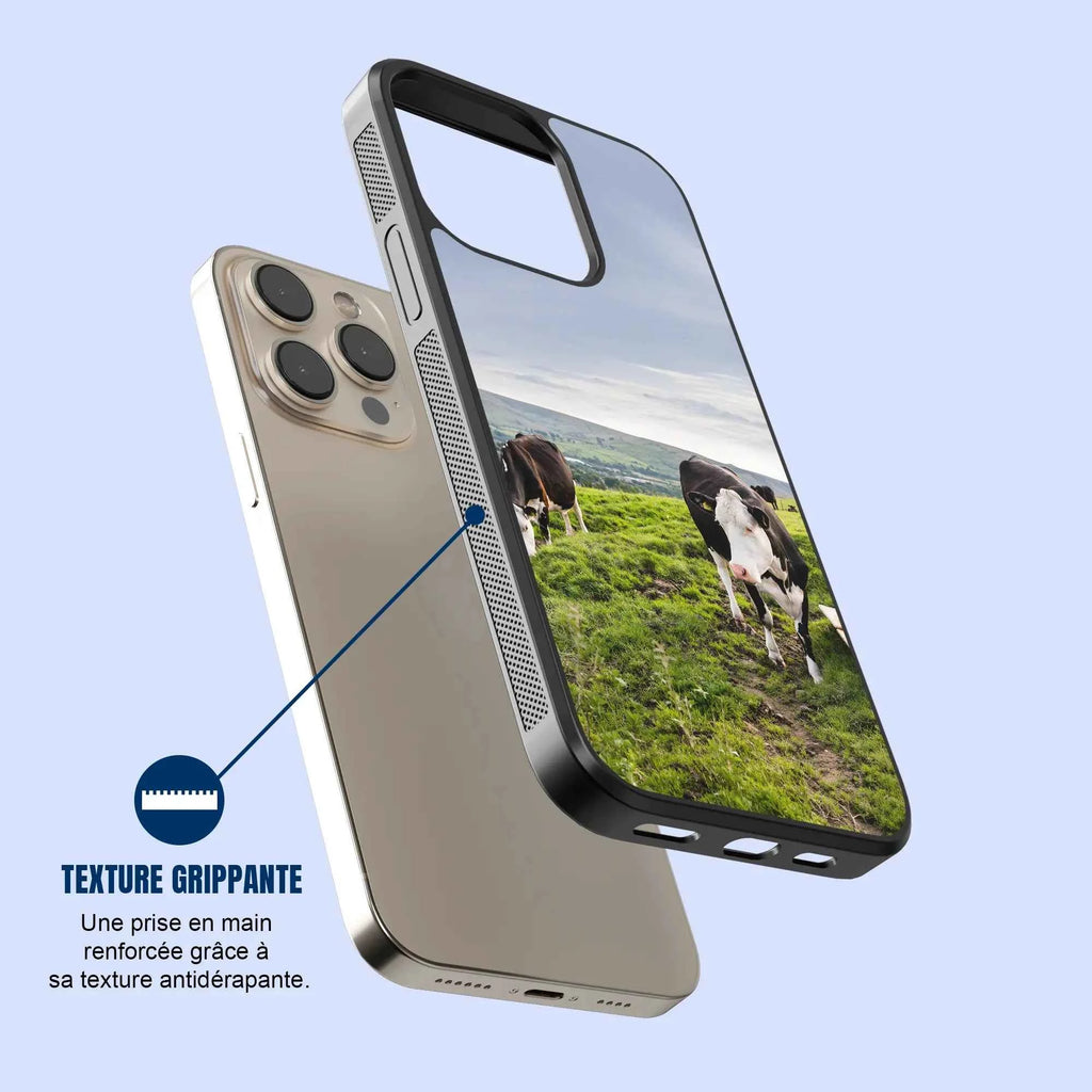 Coque - vaches Prim Holstein
