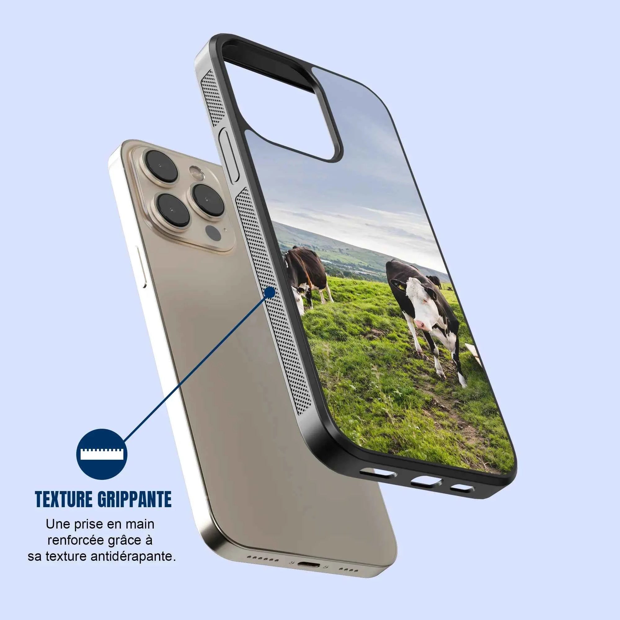 Coque - vaches Prim Holstein