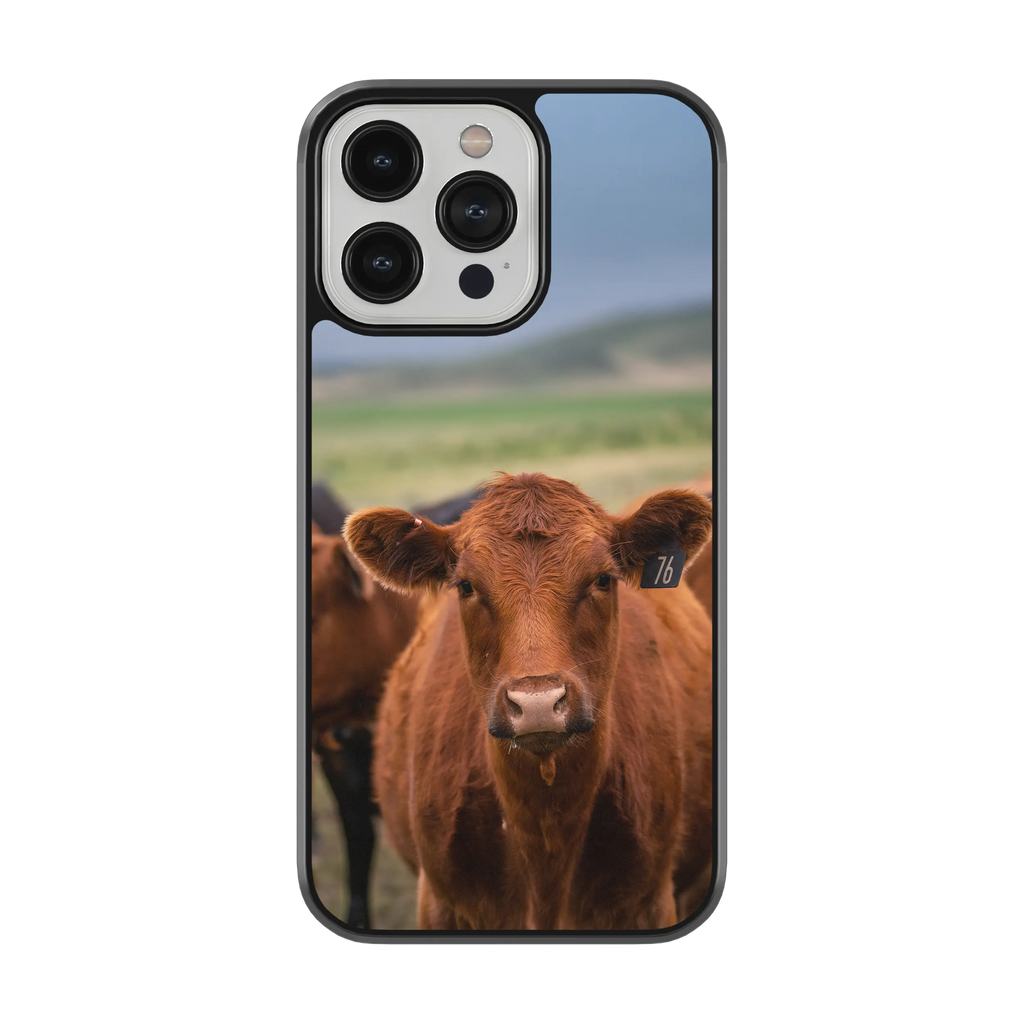 Coque - Limousine