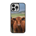 Coque - Limousine