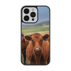 Coque - Limousine