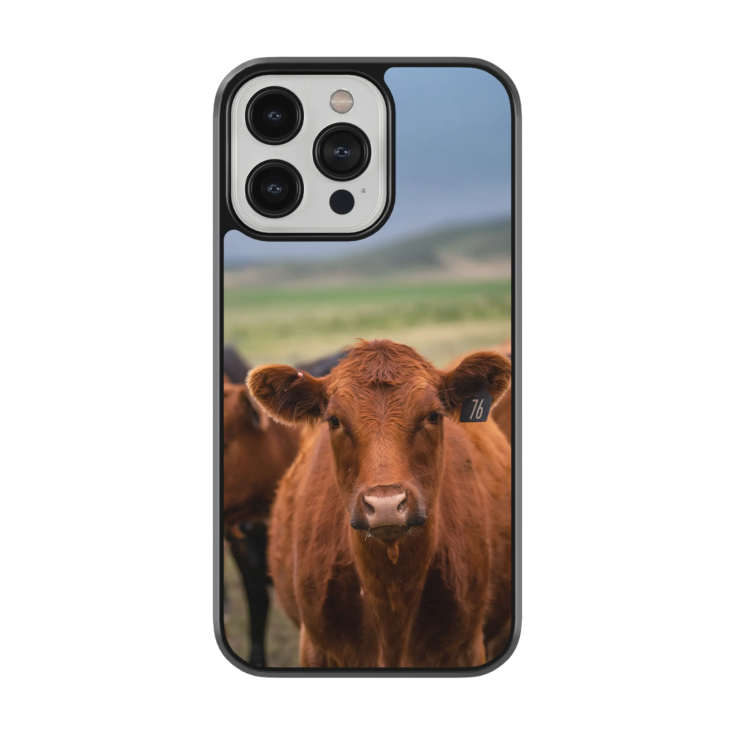 Coque - Limousine